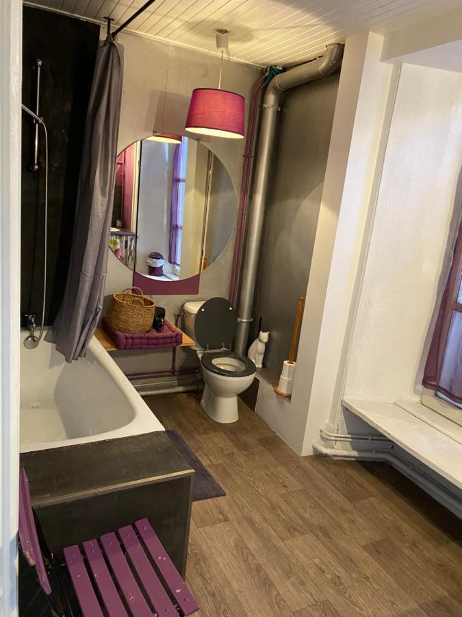 Charmant Appartement Au Coeur Des Volcans D Auvergne Мюра Екстериор снимка