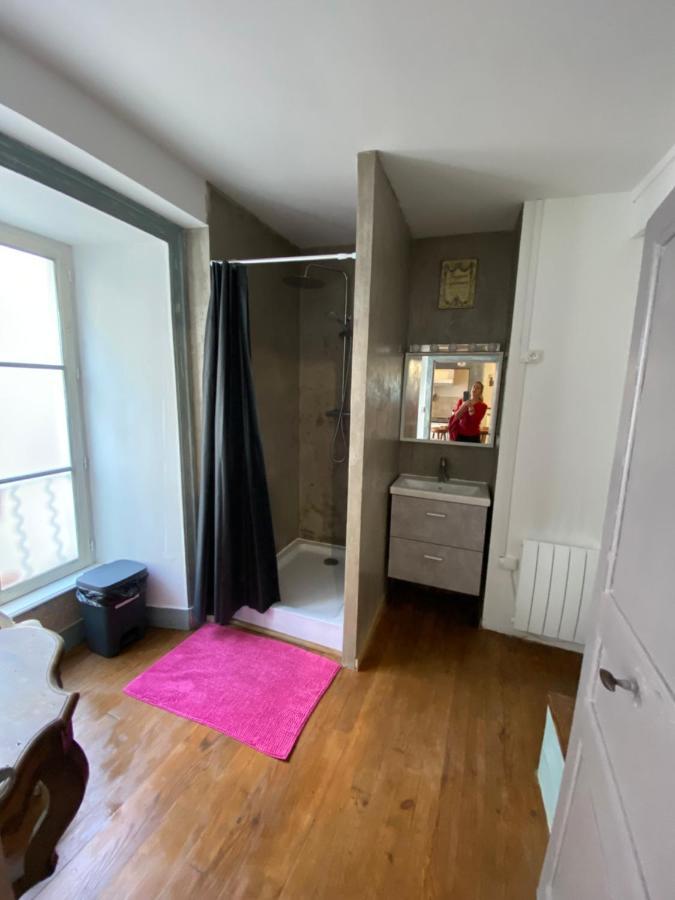 Charmant Appartement Au Coeur Des Volcans D Auvergne Мюра Екстериор снимка