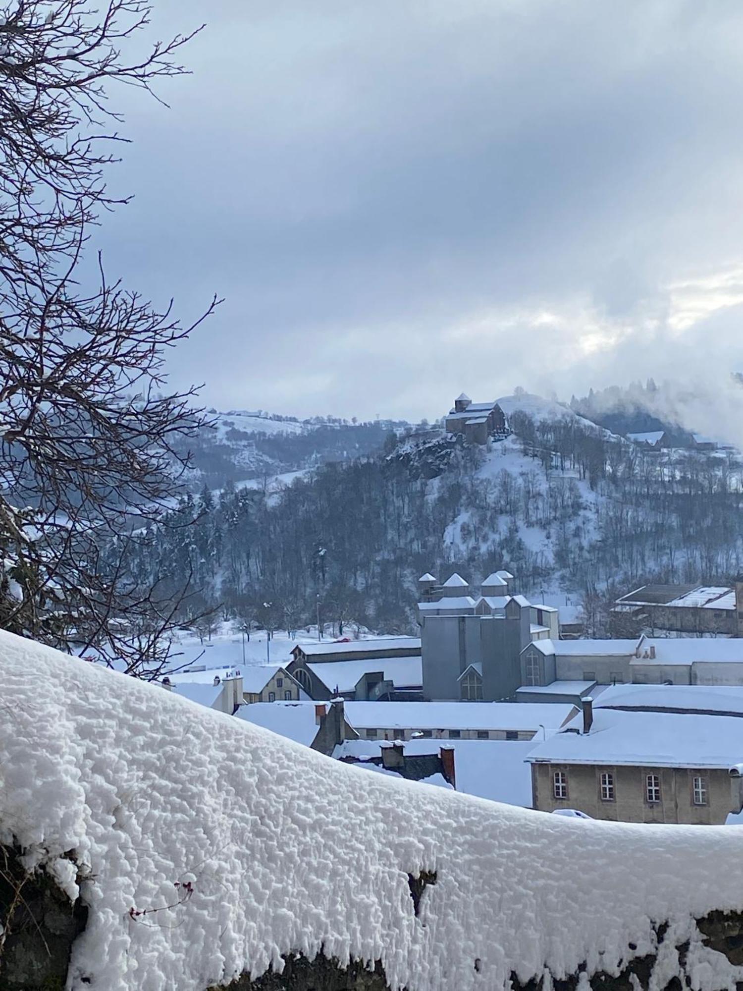 Charmant Appartement Au Coeur Des Volcans D Auvergne Мюра Екстериор снимка